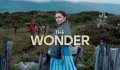The Wonder (2022) Cast, Synopsis, Review