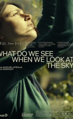 What Do We See When We Look at the Sky? (2022)
