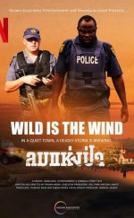 Wild is the Wind (2022)