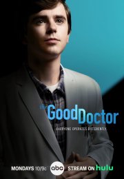 The Good Doctor (2017-2024)